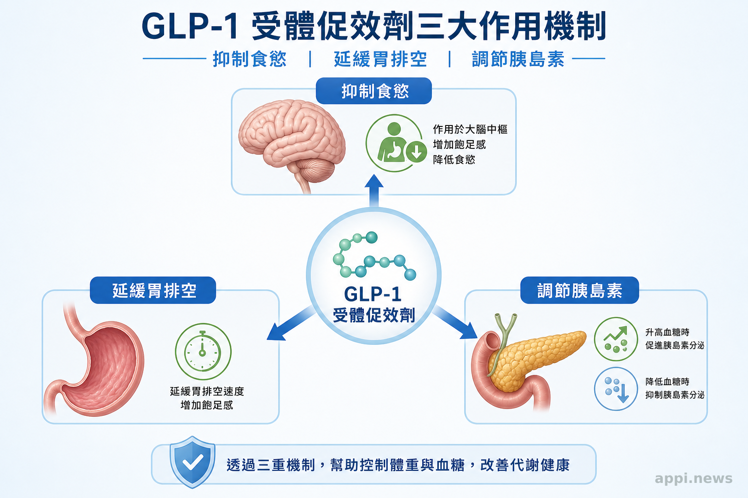 GLP-1 受體促效劑三大作用機制：抑制食慾、延緩胃排空、調節胰島素
