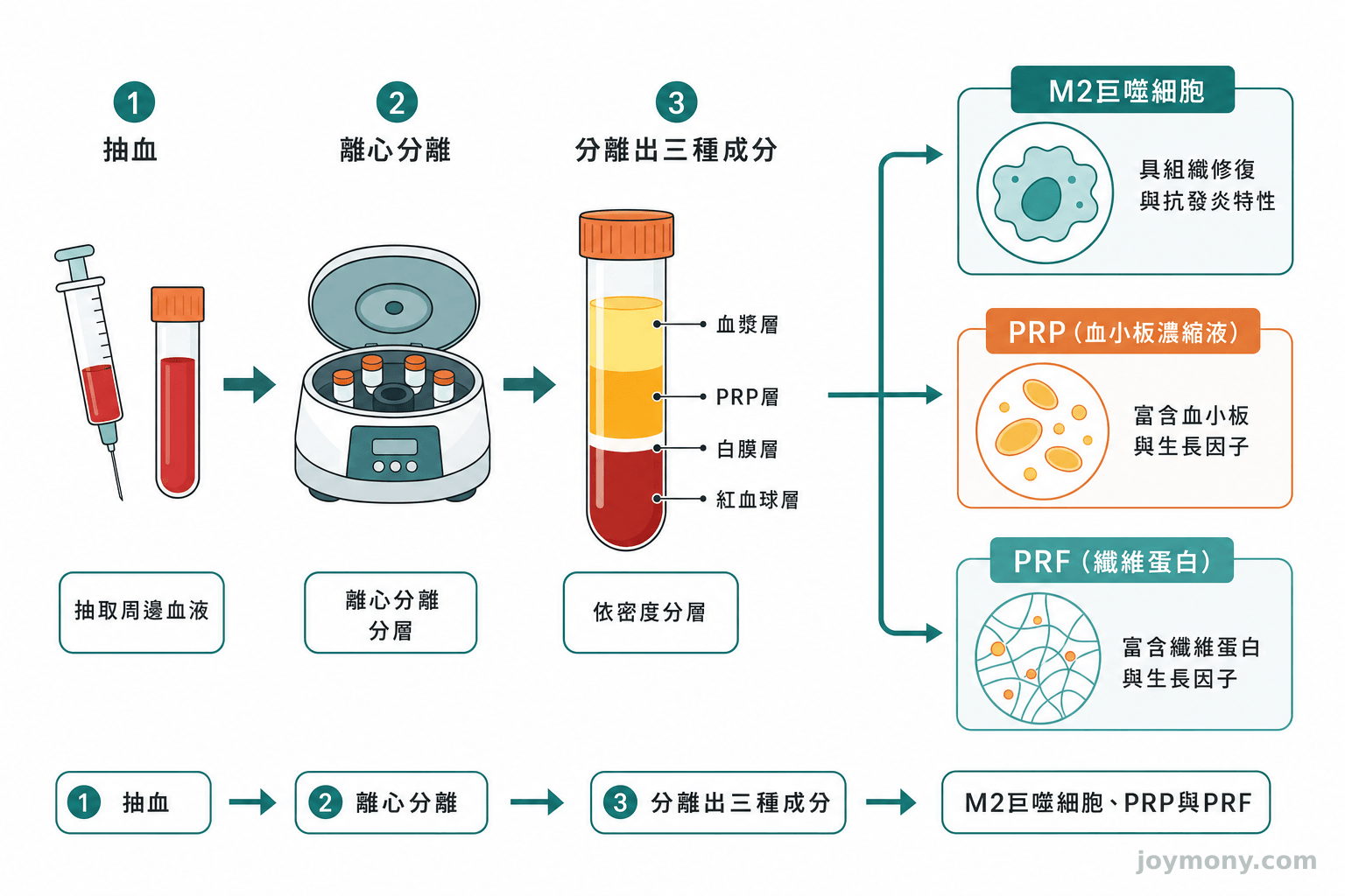 PCP製程示意圖，抽血後分離出M2巨噬細胞、PRP與PRF三種成分
