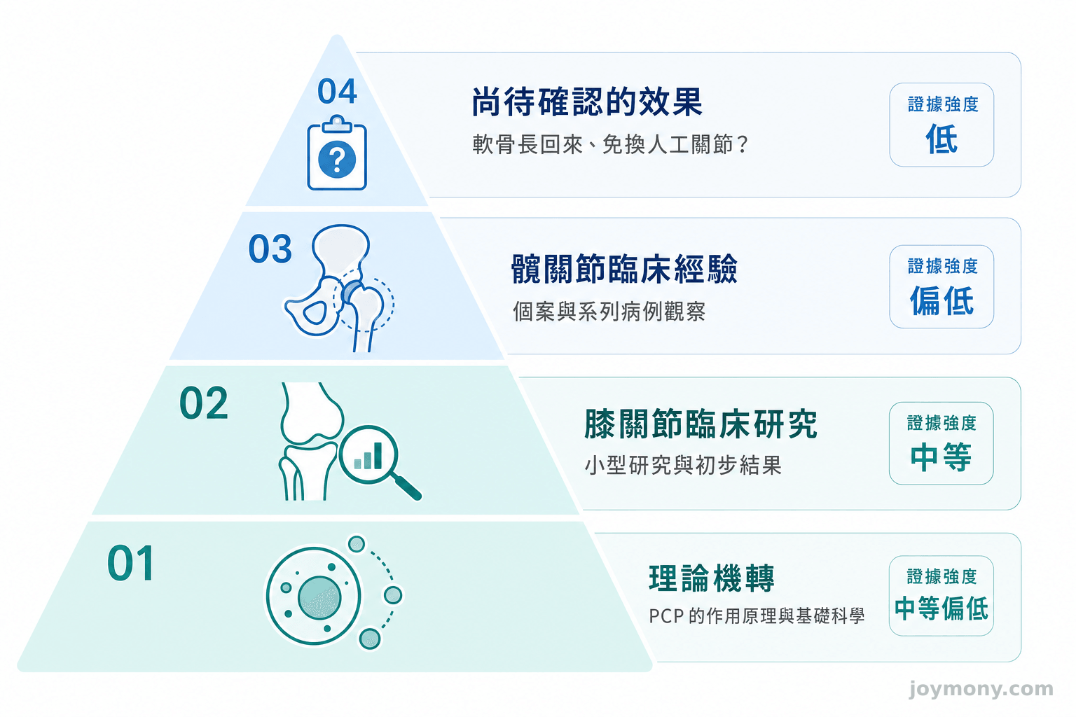 PCP證據強度分層示意圖，由下至上為理論機轉、膝關節研究、髖關節臨床經驗、尚待確認的效果