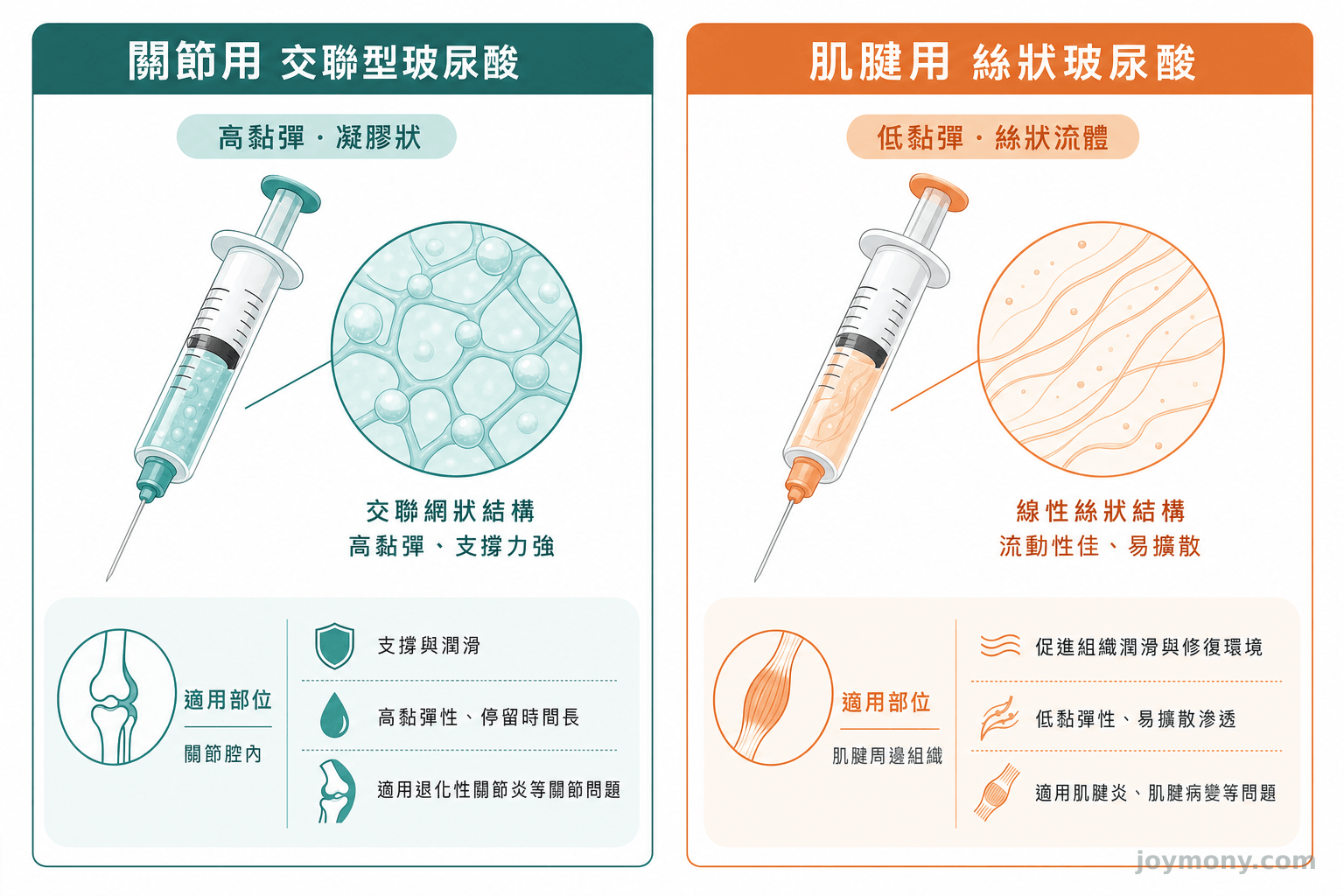 關節用交聯型玻尿酸與肌腱用絲狀玻尿酸的劑型差異示意圖