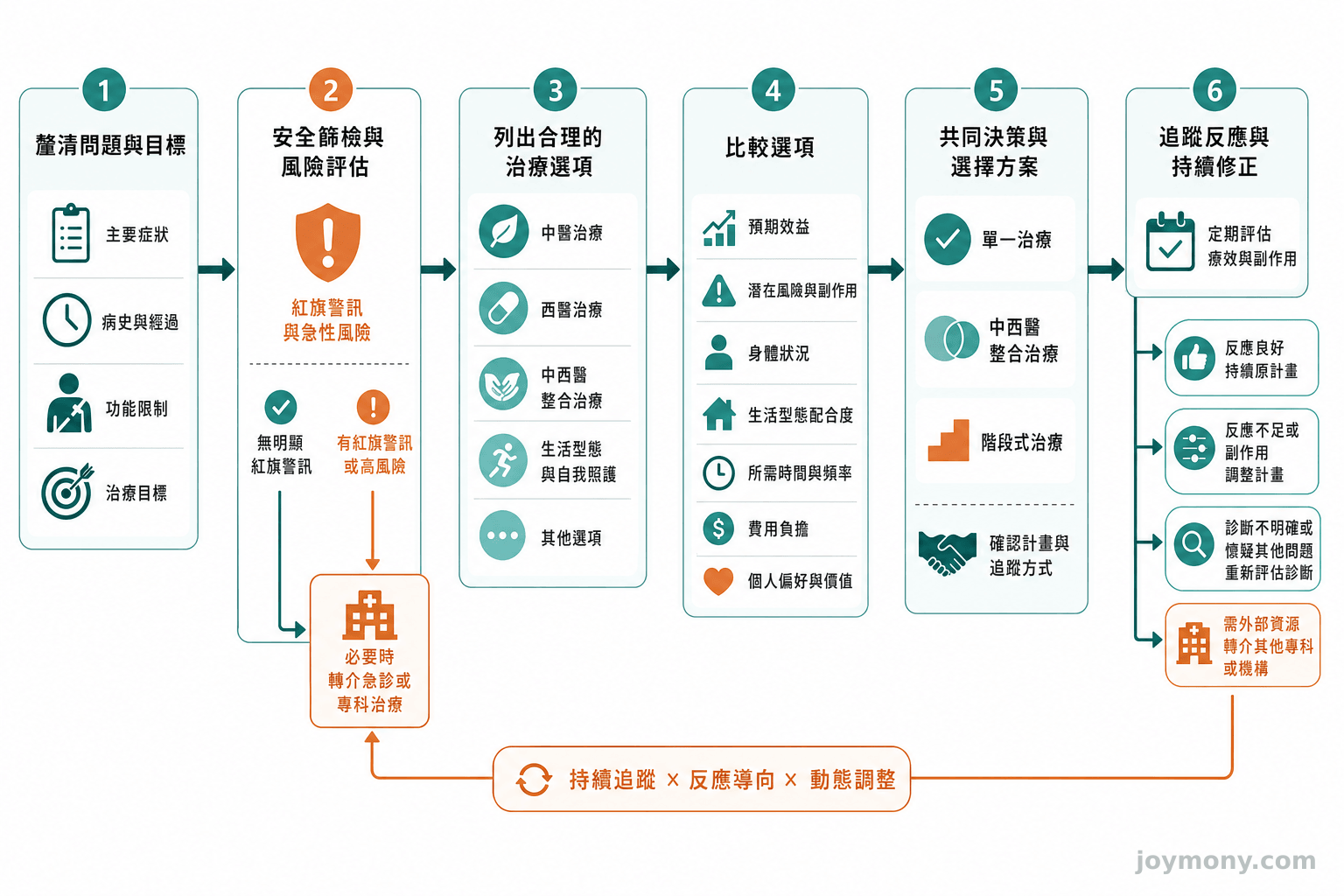 從了解問題、排除風險到比較治療選項、執行計畫及追蹤調整的六階段流程圖。